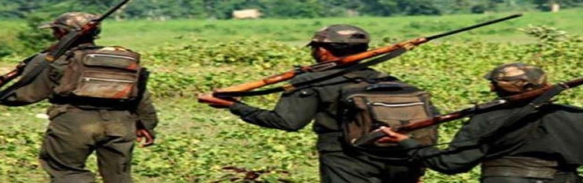 माओवादी संगठन की रीढ़ टूटी: 18 महीनों में 500 से अधिक ढेर, अब शांति वार्ता की पहल