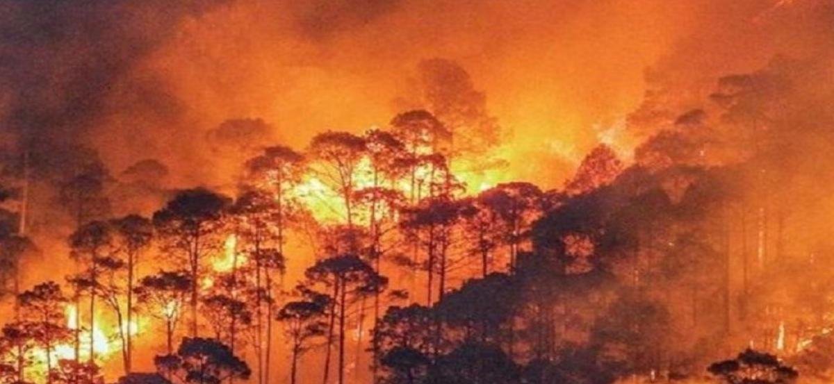 उत्तराखंड में बढ़ रही जंगल की आग की घटनाएं: 27 दिनों में 73 वनाग्नि, कुमाऊं में डेटा पर सवाल