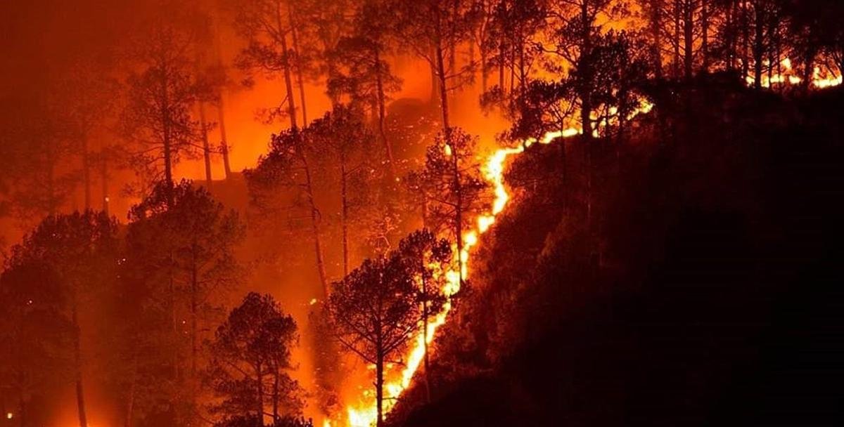 उत्तराखंड में वनाग्नि आंकड़ों पर सवाल: वेबसाइट से बदली समयावधि, जंगल में आग की घटनाएं कम दिखाने के आरोप