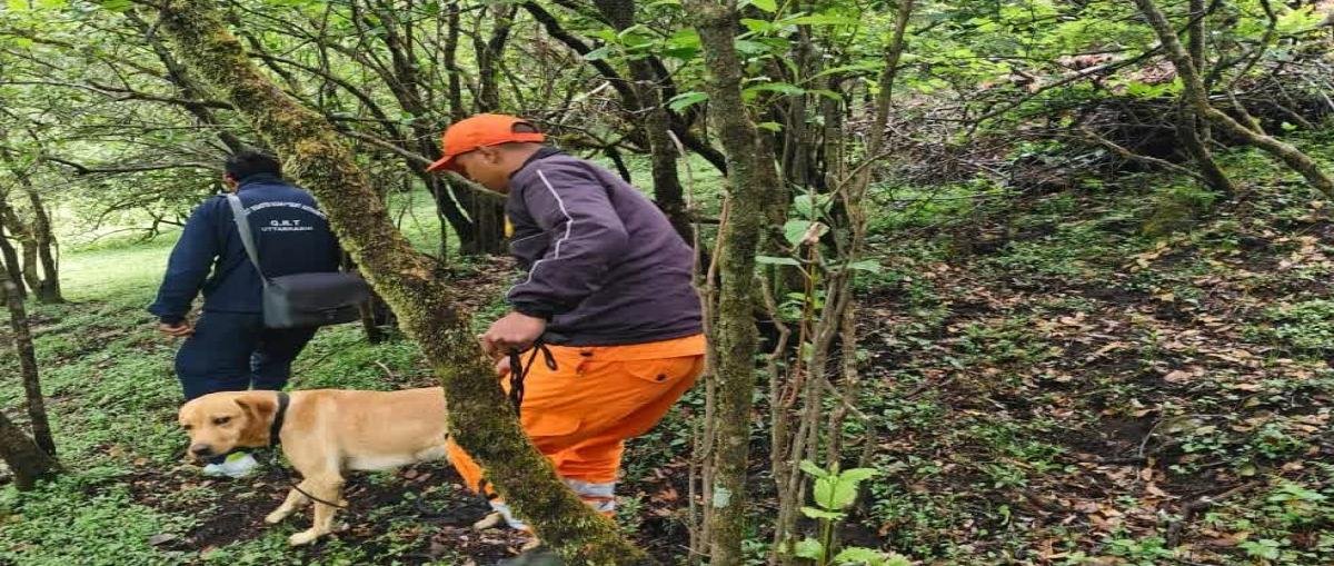 दयारा बुग्याल ट्रेक पर लापता बबीता पांडे का चौथे दिन भी सुराग नहीं, ड्रोन और स्निफर डॉग्स से तेज हुई तलाश