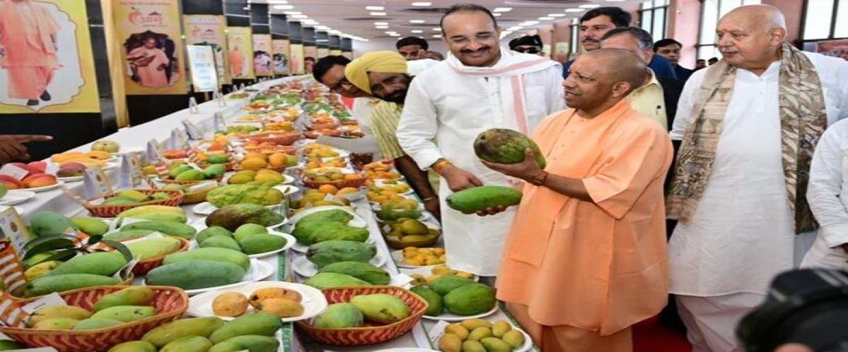 UP Mango Festival 2026: सीएम योगी ने किया आम महोत्सव का उद्घाटन, 800 से अधिक किस्मों के आम बने आकर्षण
