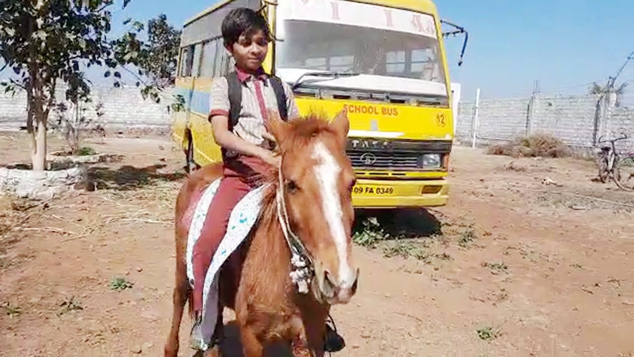  अजब MP का गजब शिवराज, घोड़े पर बैठकर स्कूल जाता है पांचवी का छात्र | Nation One