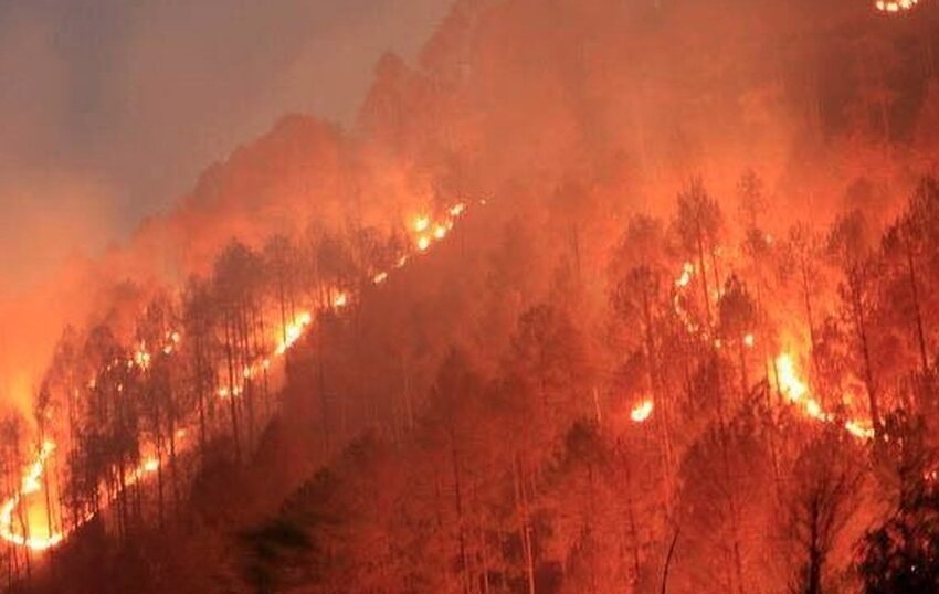  Forest Fire : बढ़ती गर्मी के साथ जंगलों के धधकने का सिलसिला भी तेज, तीन दिन से धधक रहे लैंसडौन के जंगल | Nation One