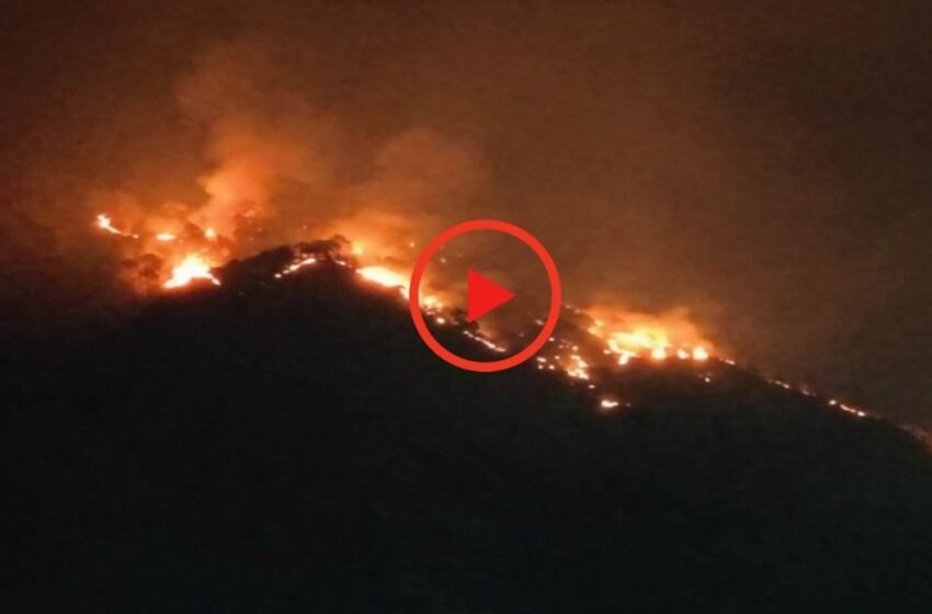  Uttarakhand Fire: उत्तराखंड मे शुरू हुआ आग का तांडव, वरुणावत पर्वत के जंगलों में भीषण आग, देखे Video | Nation One