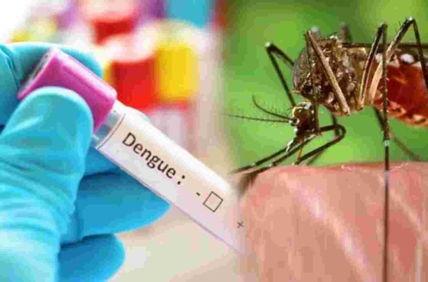  Uttarakhand News : उत्तराखंड में कोरोना के बढ़ते मामलों के बीच डेंगू की दस्तक, मचा हड़कंप | Nation One