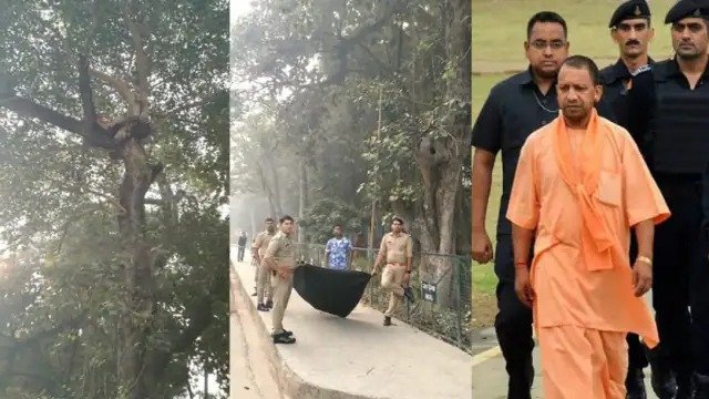  UP News : CM योगी से मिलने की जिद पर पेड़ पर चढ़ा युवक, गले में फंदा लगाकर बैठा रहा | Nation One