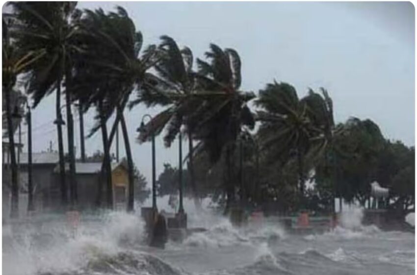  कुछ घंटें में Biparjoy Cyclone लेगा विकराल रूप, इन राज्यों में होगी मूसलाधार बारिश | Nation One