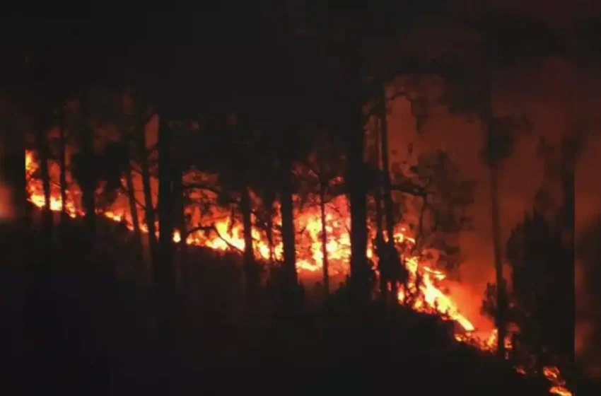  Uttarakhand में विकराल हुई Forest Fire, नैनीताल में हाई कोर्ट कॉलोनी तक पहुंची लपटें | Nation One