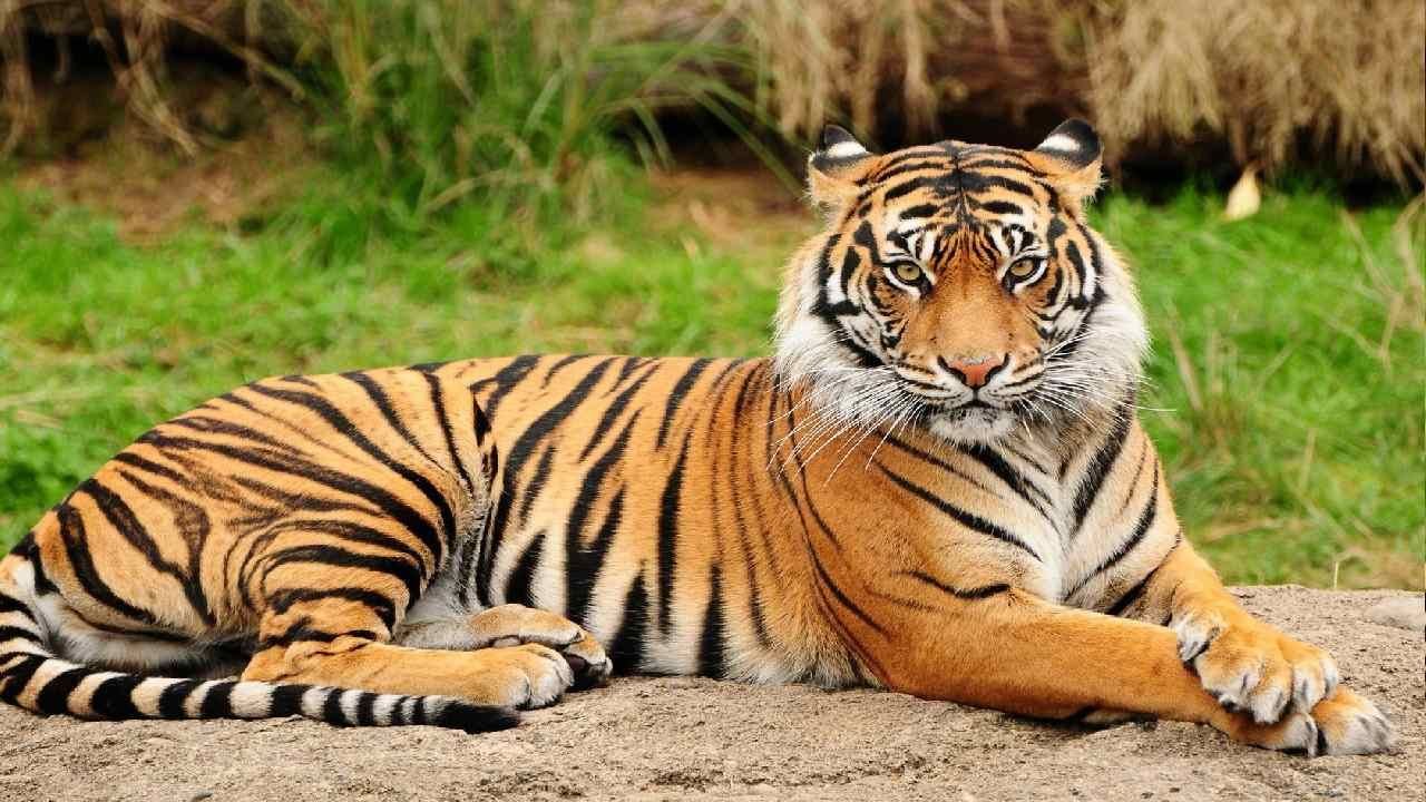 Uttarakhand